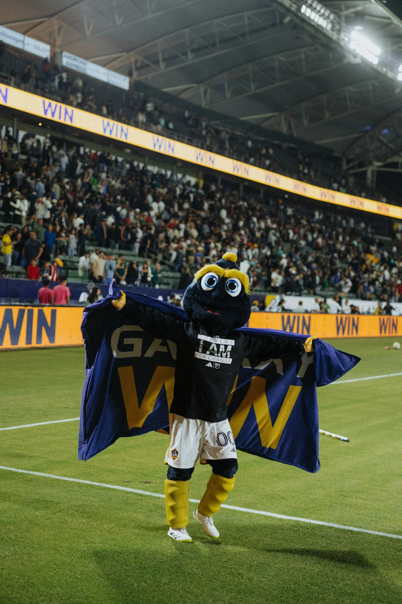 DS-LAGalaxy-34.jpg