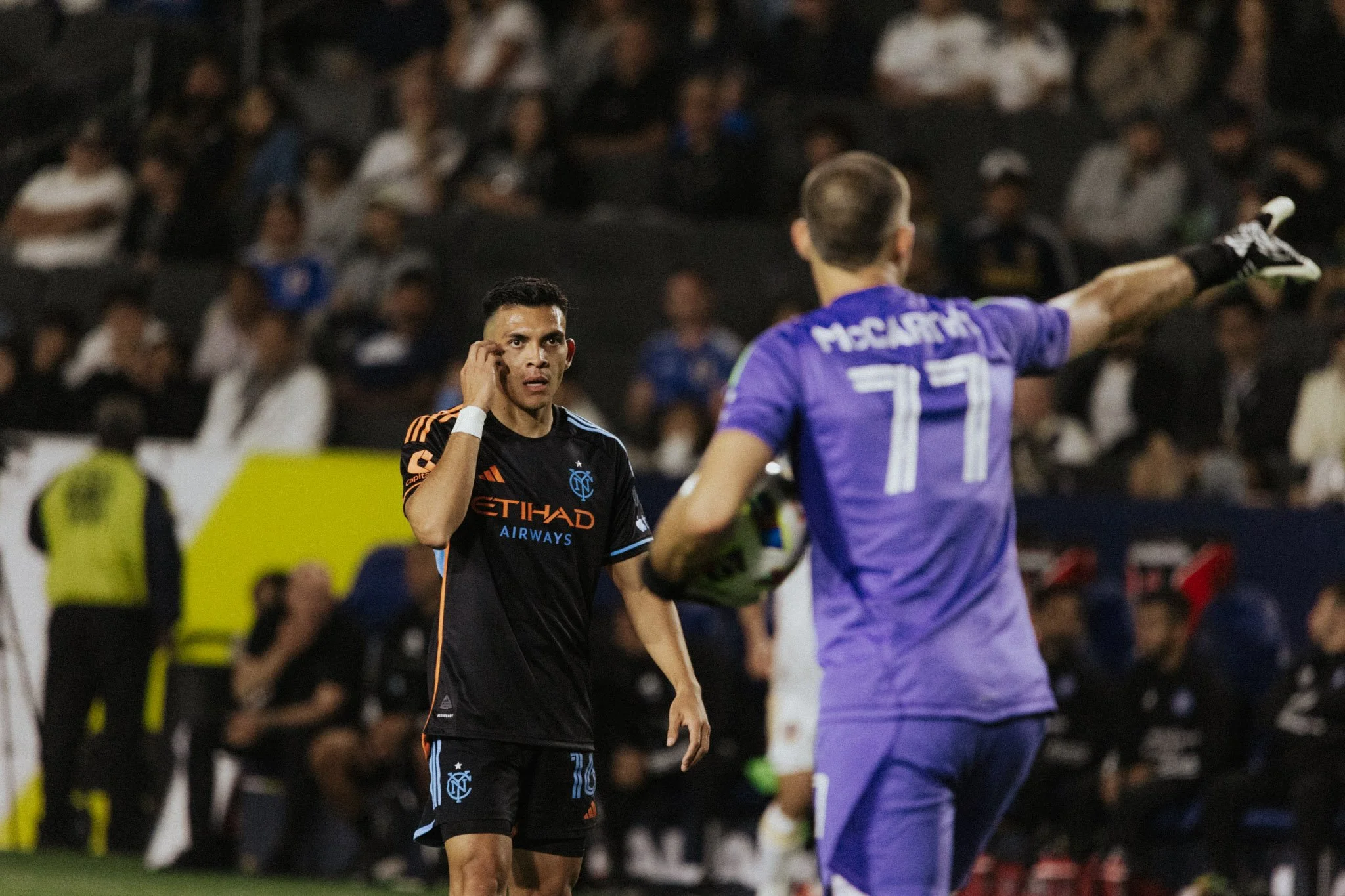 DS-LAGalaxy-30.jpg