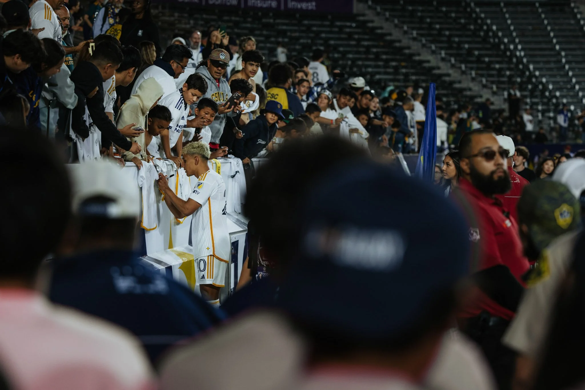 DS-LAGalaxy-35.jpg