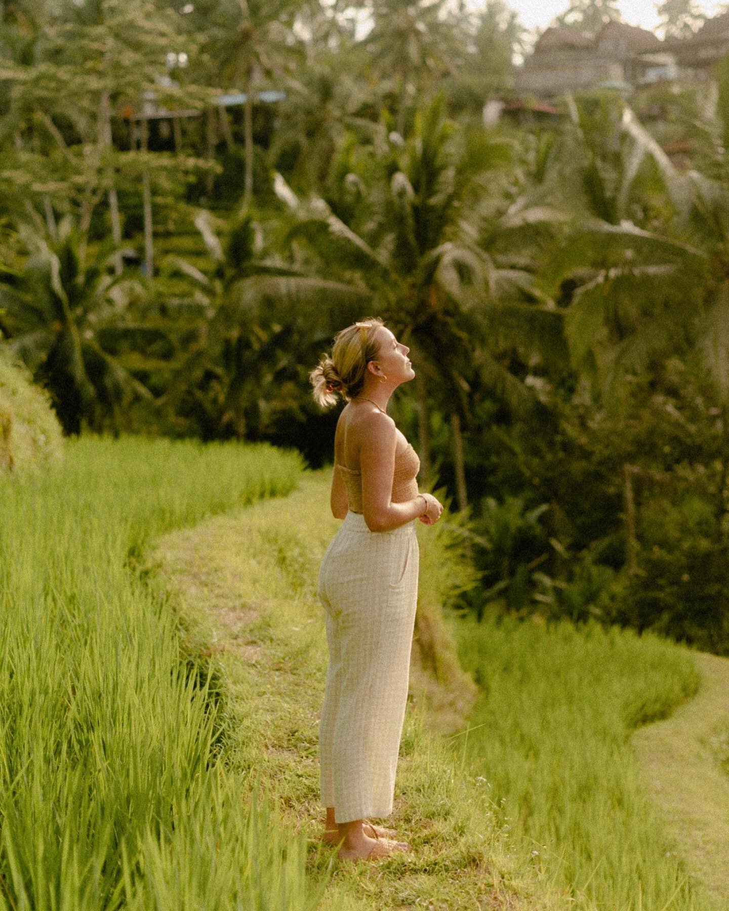 The trip that actually made it off of the Pinterest board 🌴

📸: the best travel mate @caitcollinsphotography 

#balitravel #baliricefields #baliriceterrace #riceterracebali #ubudbali #ubudlife #ubudricefields #ubudtravel #baliblog #femaletravel #fe