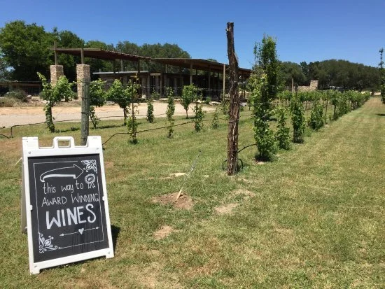 Photo Courtesy of Solaro Estate.