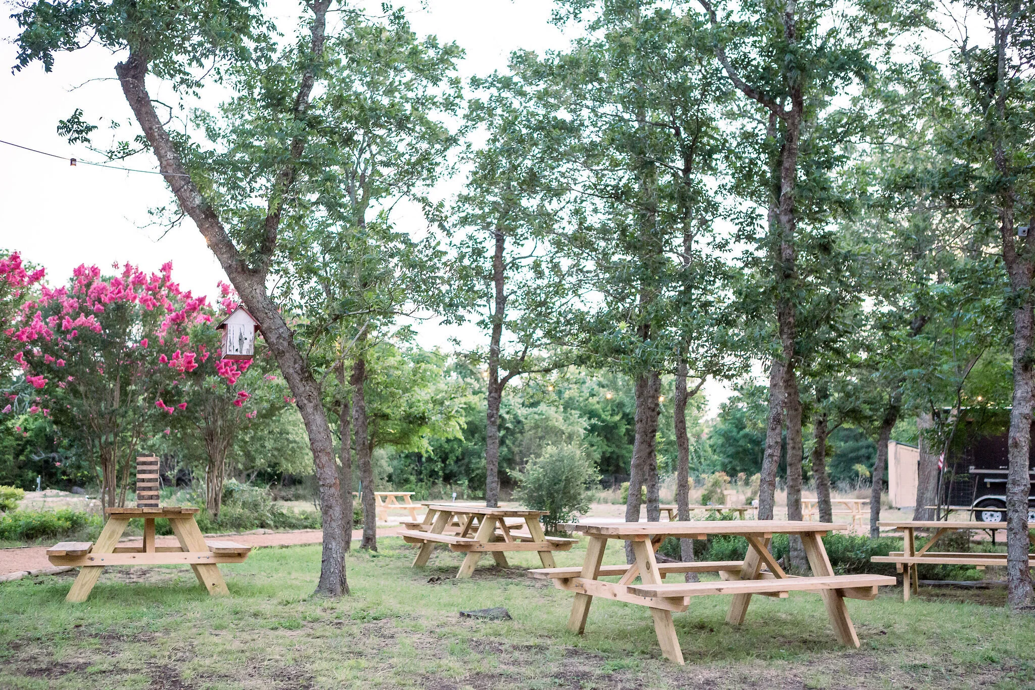Photo Courtesy of 12 Fox Brewery.
