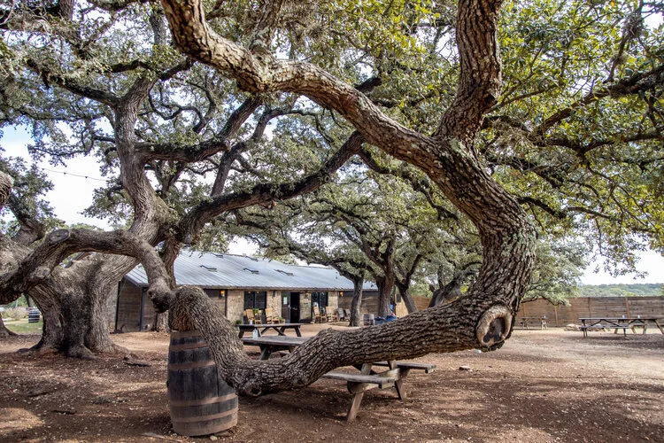 Photo Courtesy of Treaty Oak Distilling.