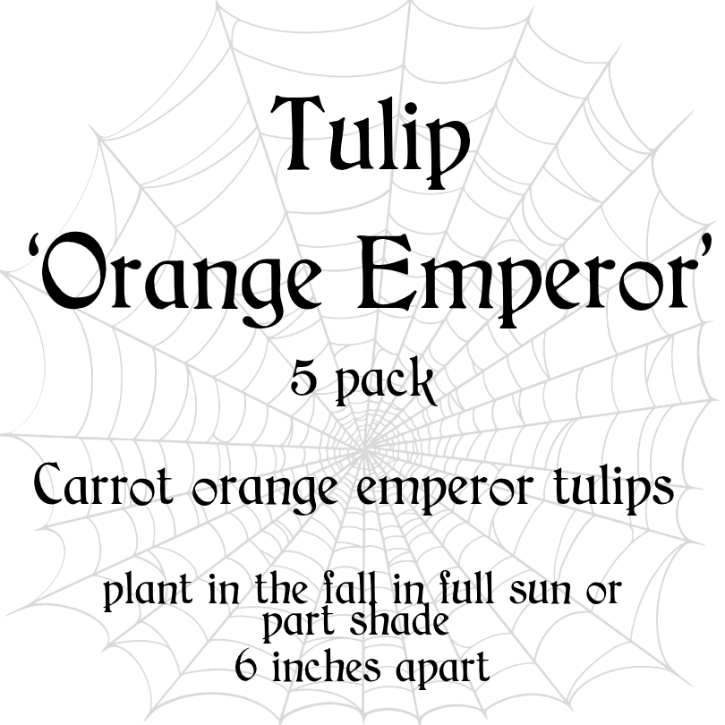 Bulb Sale 2026 (1).png