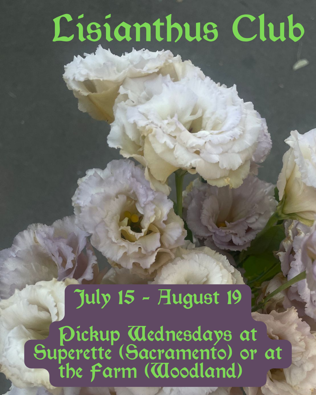 Lisianthus Club  - 6 Week Subscription - July 15 - Aug 19