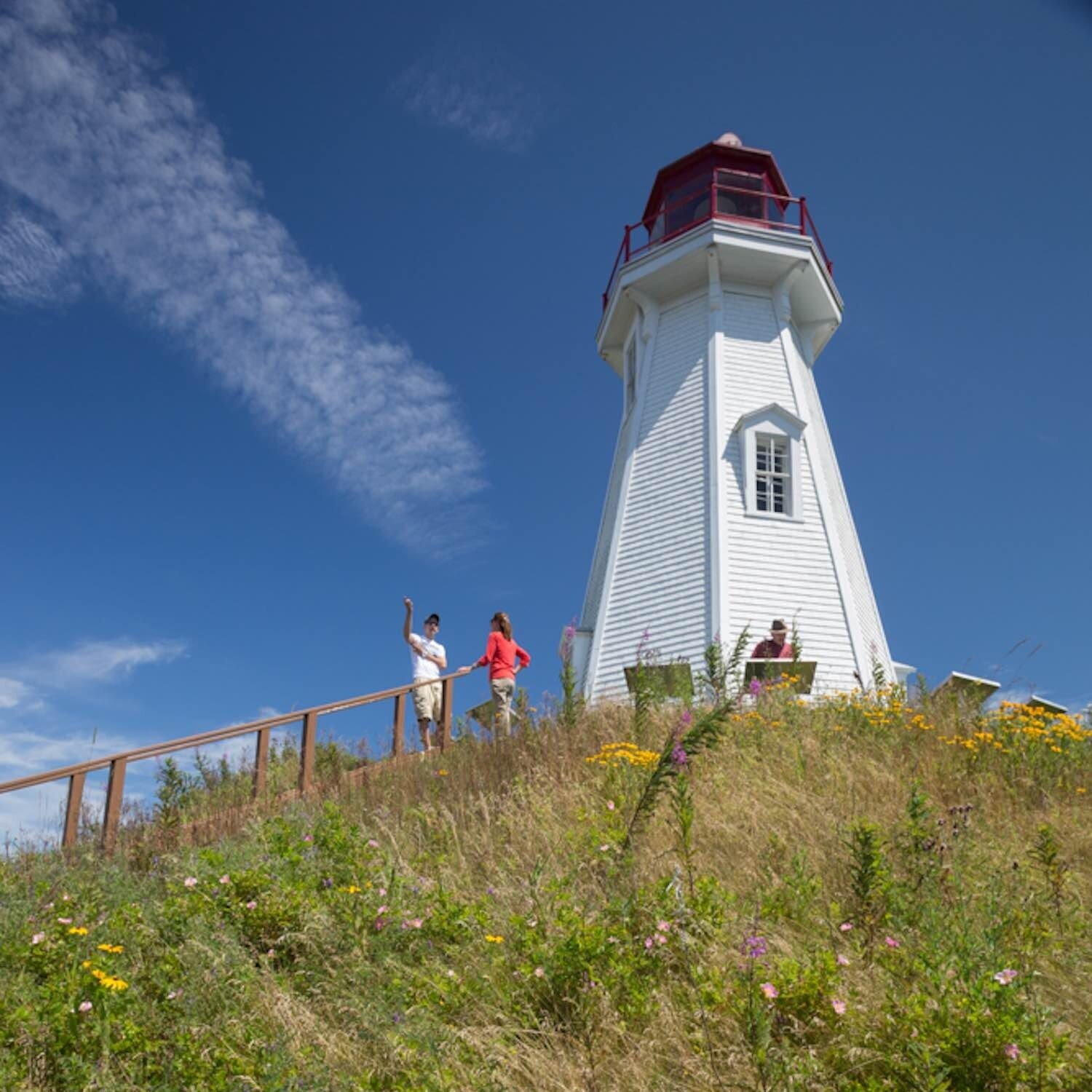 Mulholland Light.jpg