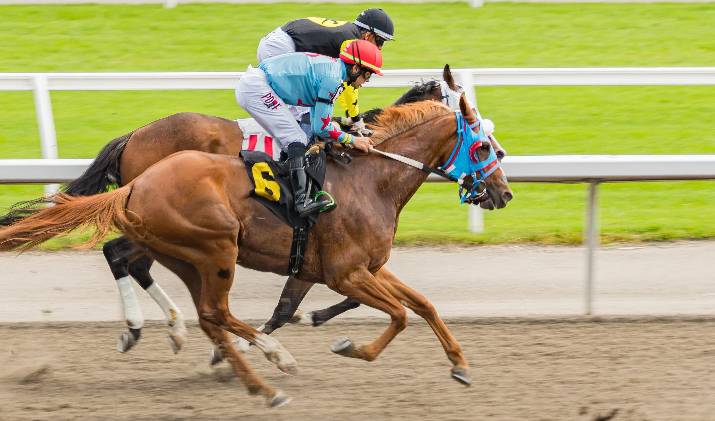 HorseRace2 (1 of 1).jpg