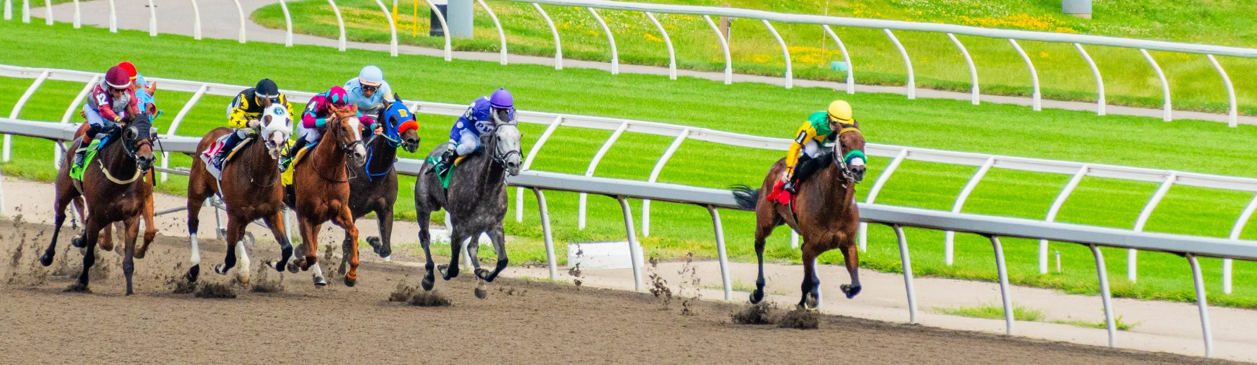 HorseRace (1 of 1).jpg
