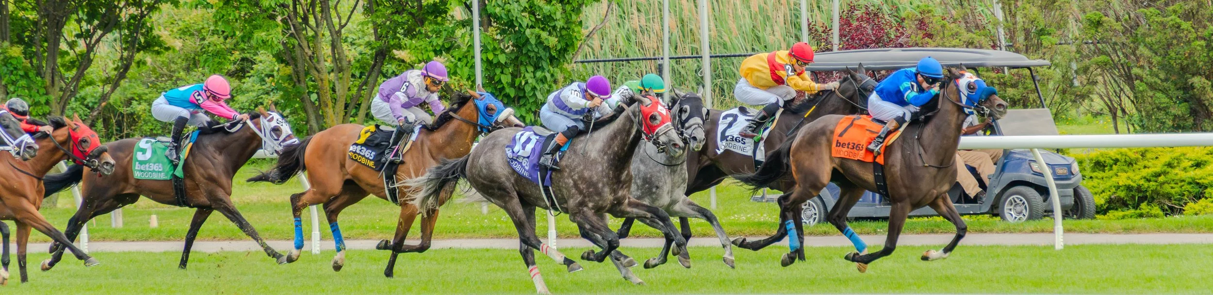 HorseRace1 (1 of 1).jpg