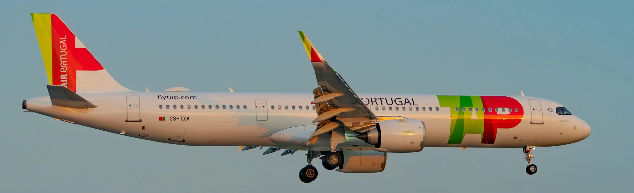 Air Portugal.jpg