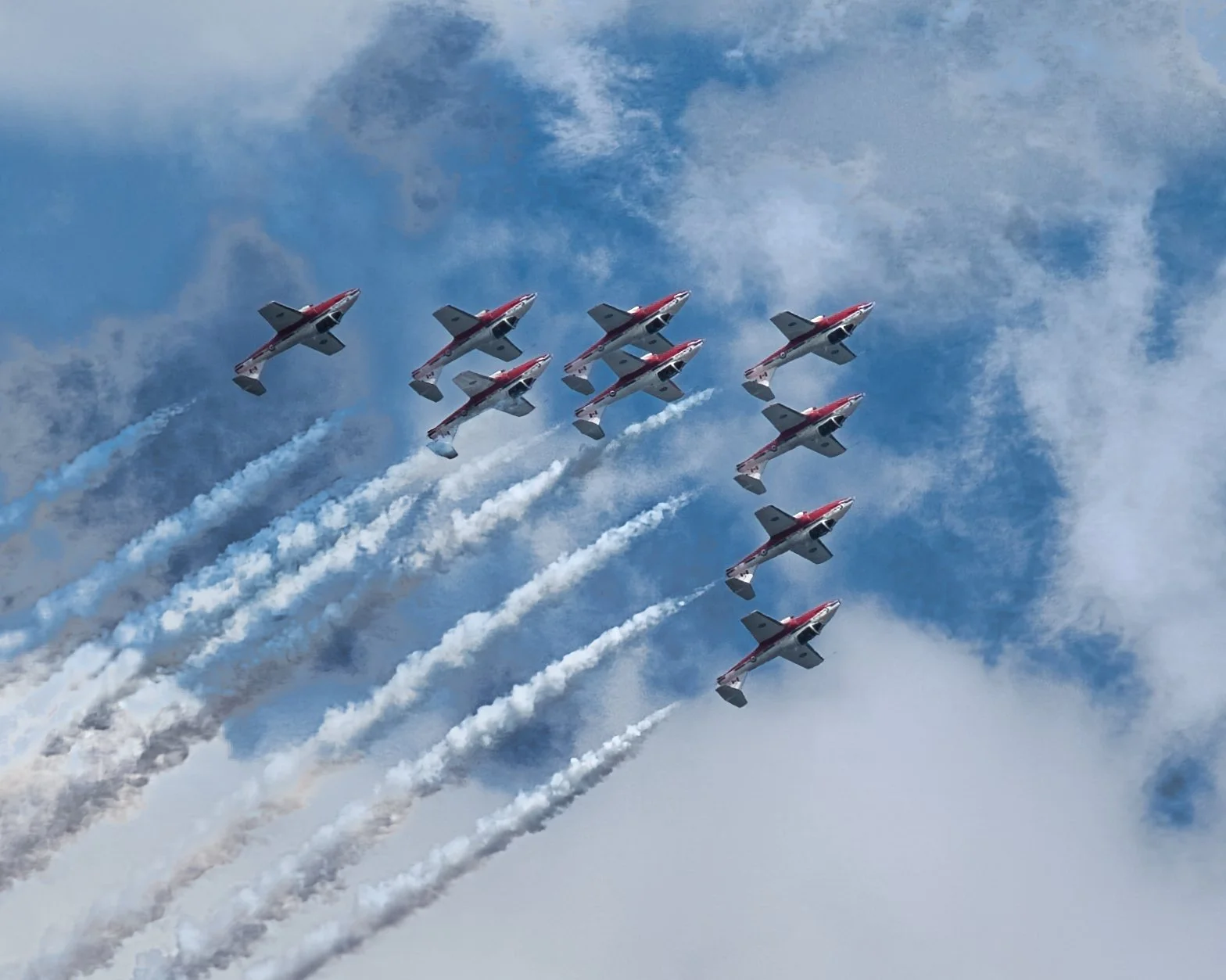 SnowBirds.jpg