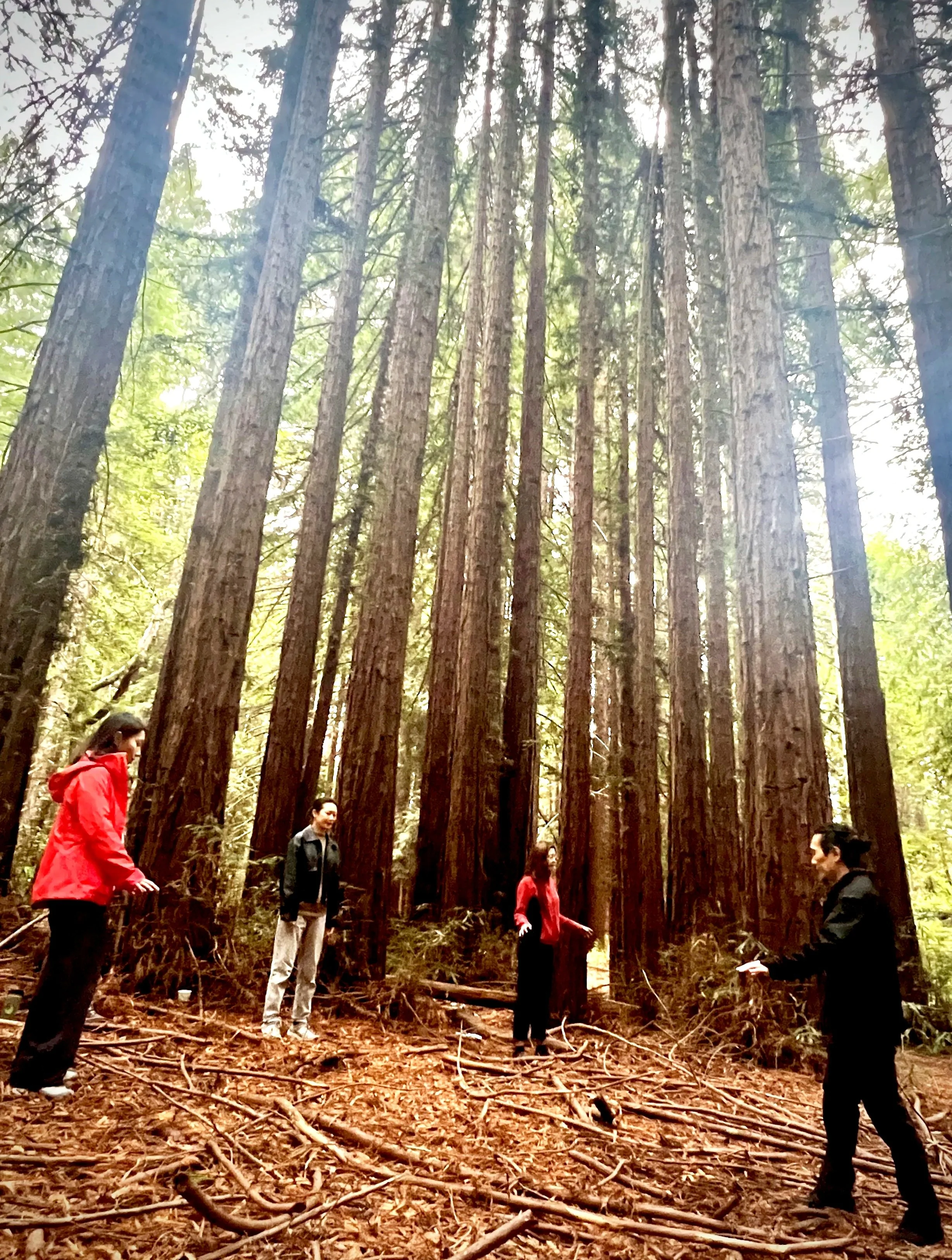 Reflect on when you cared for the environment today. [photo courtesy of UCSC]