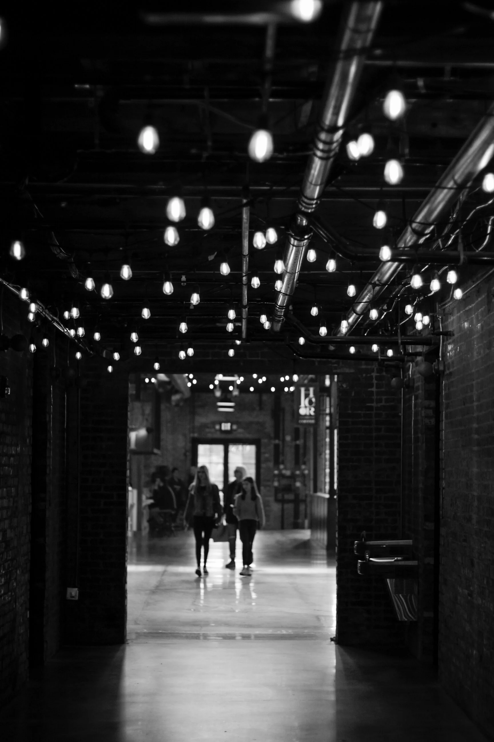 _MG_4479.jpg