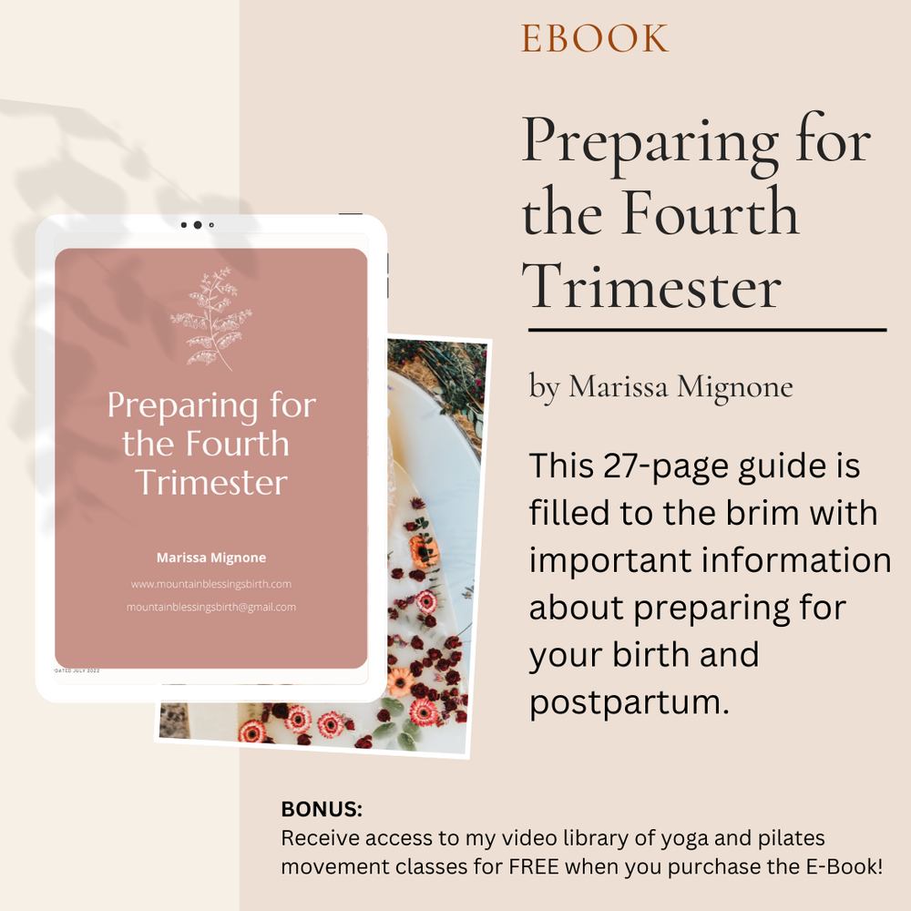 Preparing for the Fourth Trimester E-Book — Marissa Mignone