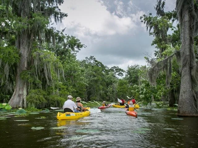 Ecotourism businesses, like canoeing and kayaking, offer St. Bernard fishermen opportunities to add to their incomes.