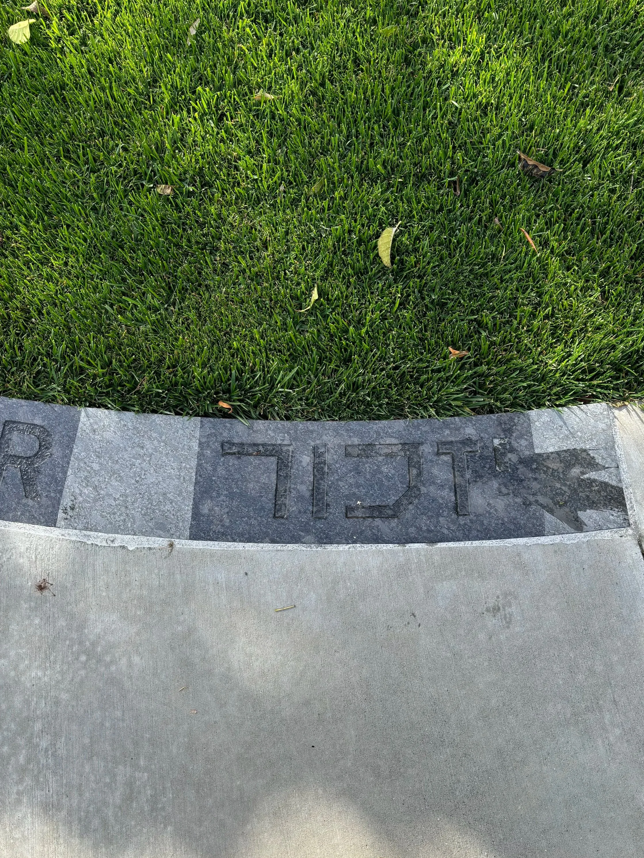 Remember. Auckland Holocaust Memorial Garden