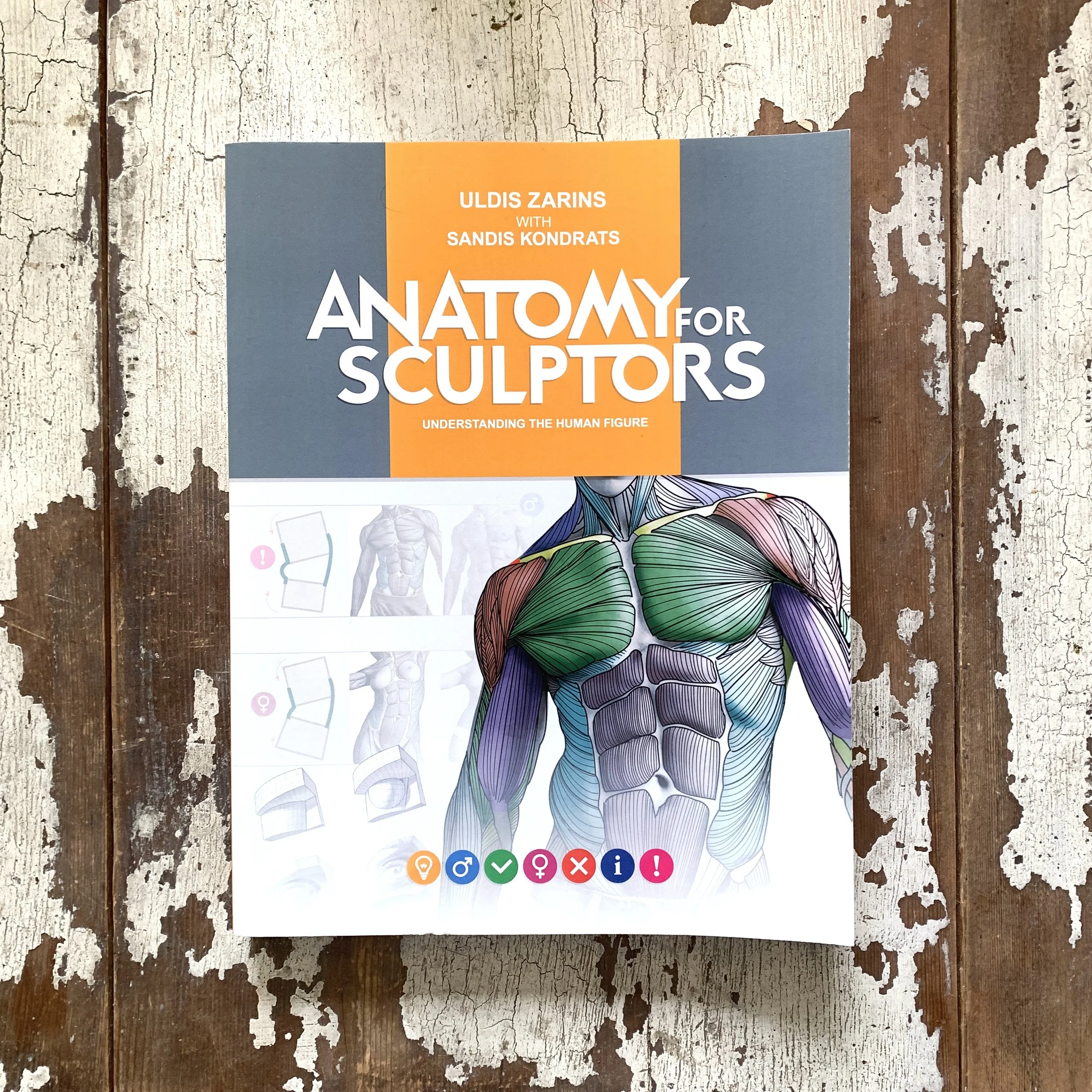 Anatomy for Sculptors by Uldis Zarnis with Sandi Kondrats (self-published)