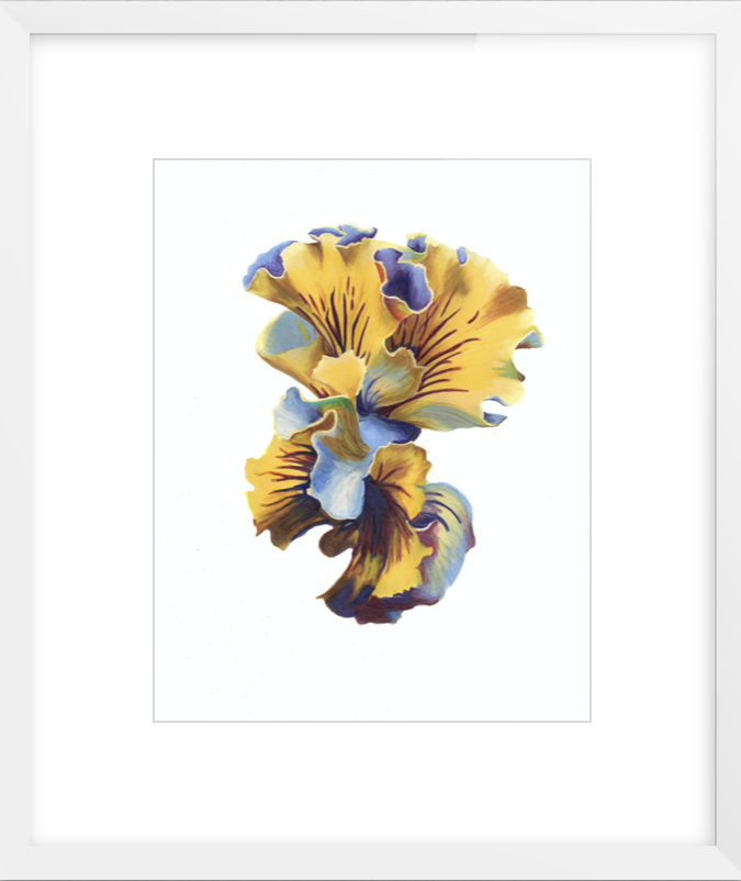 Yellow Framed.png
