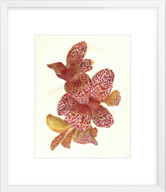 Captura de Pantalla 2020-09-02 a la(s) 11.09.02 a. m..png