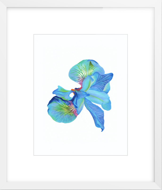 Blue Framed.png