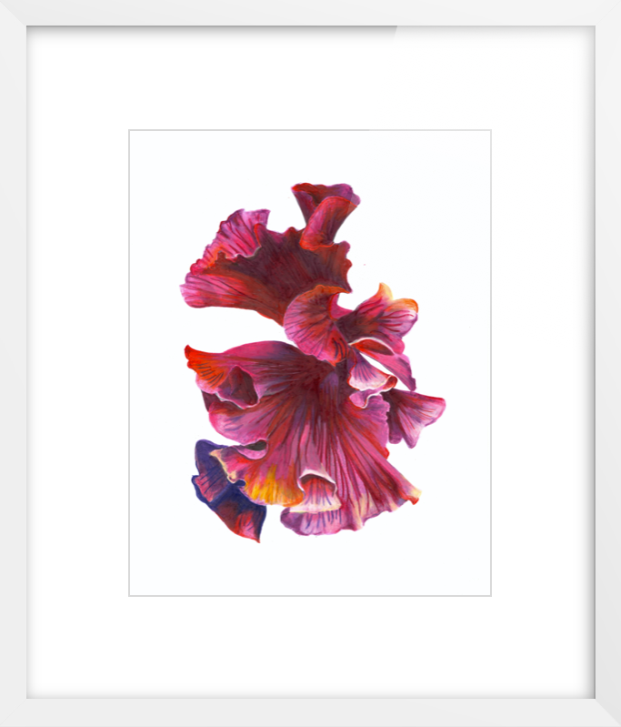 Pink Framed.png