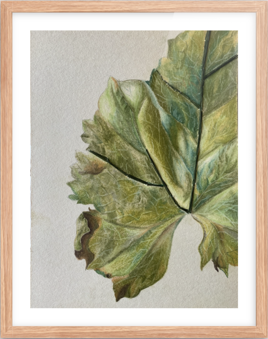 Captura de Pantalla 2020-08-09 a la(s) 10.49.17 a. m..png