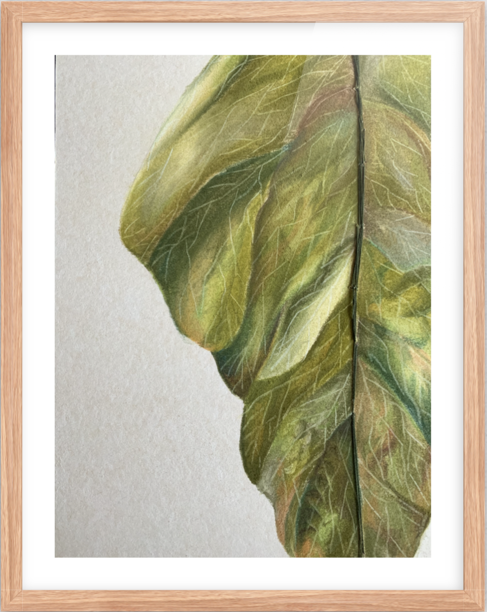 Captura de Pantalla 2020-08-09 a la(s) 10.53.48 a. m..png