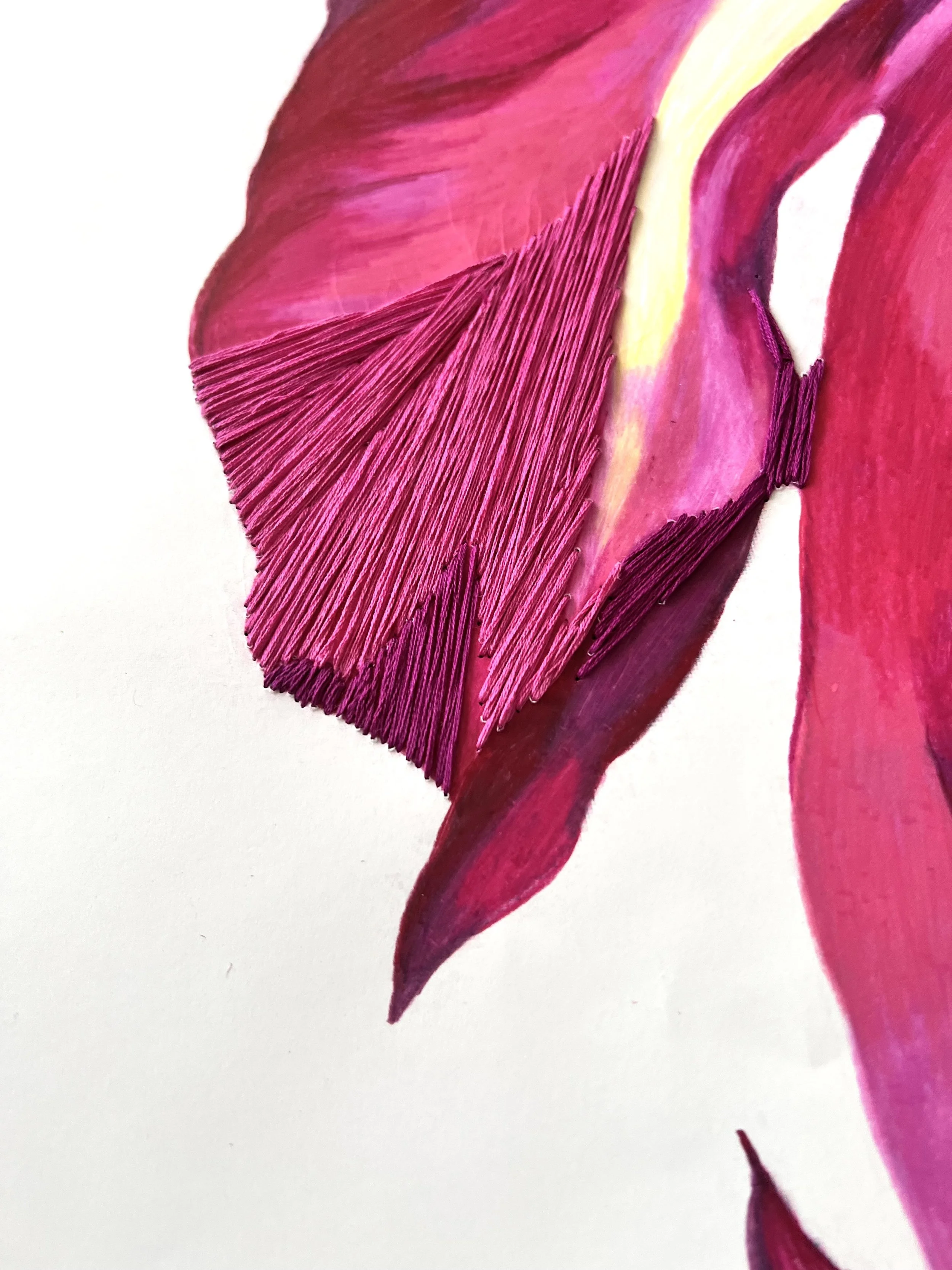 Pink_ Detail1.jpg