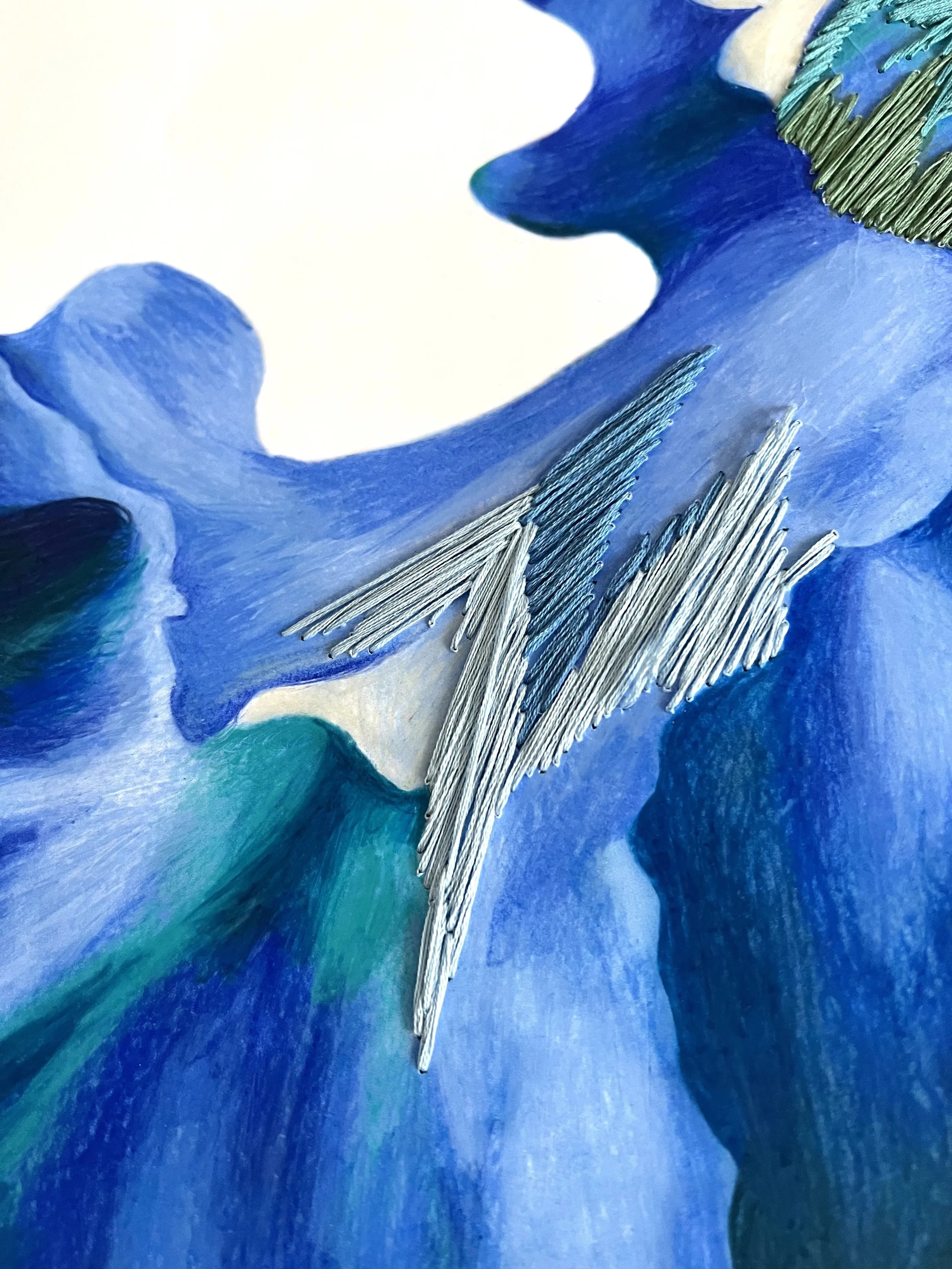 Blue_Detail2.jpg