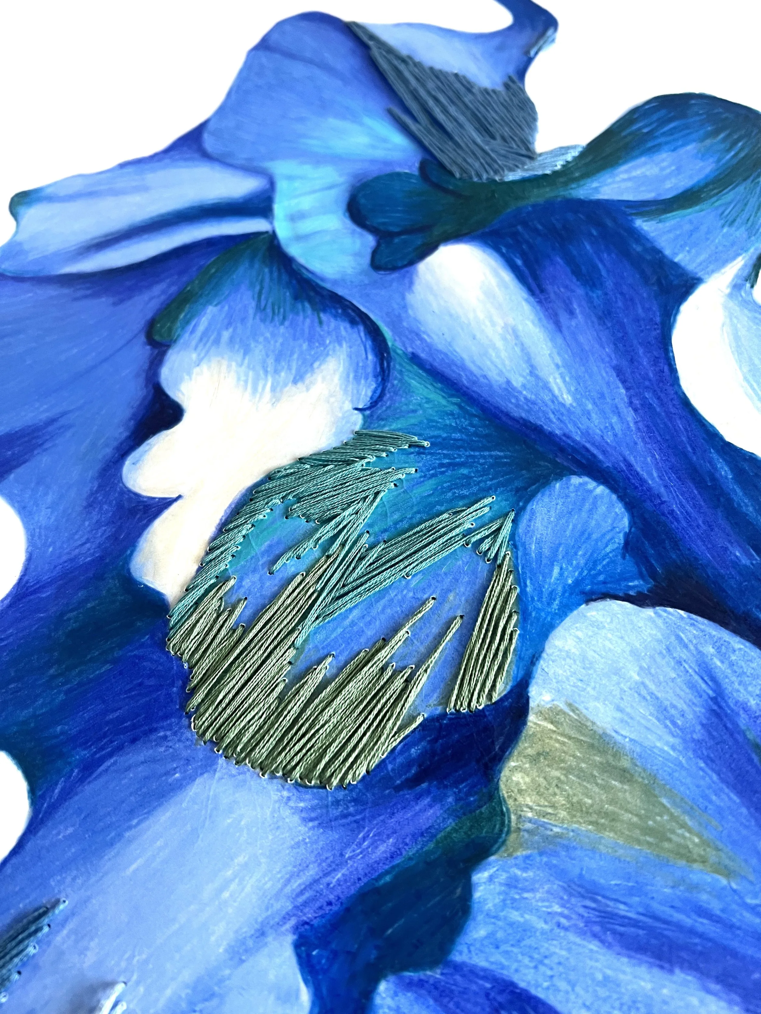 Blue_Detail3.jpg