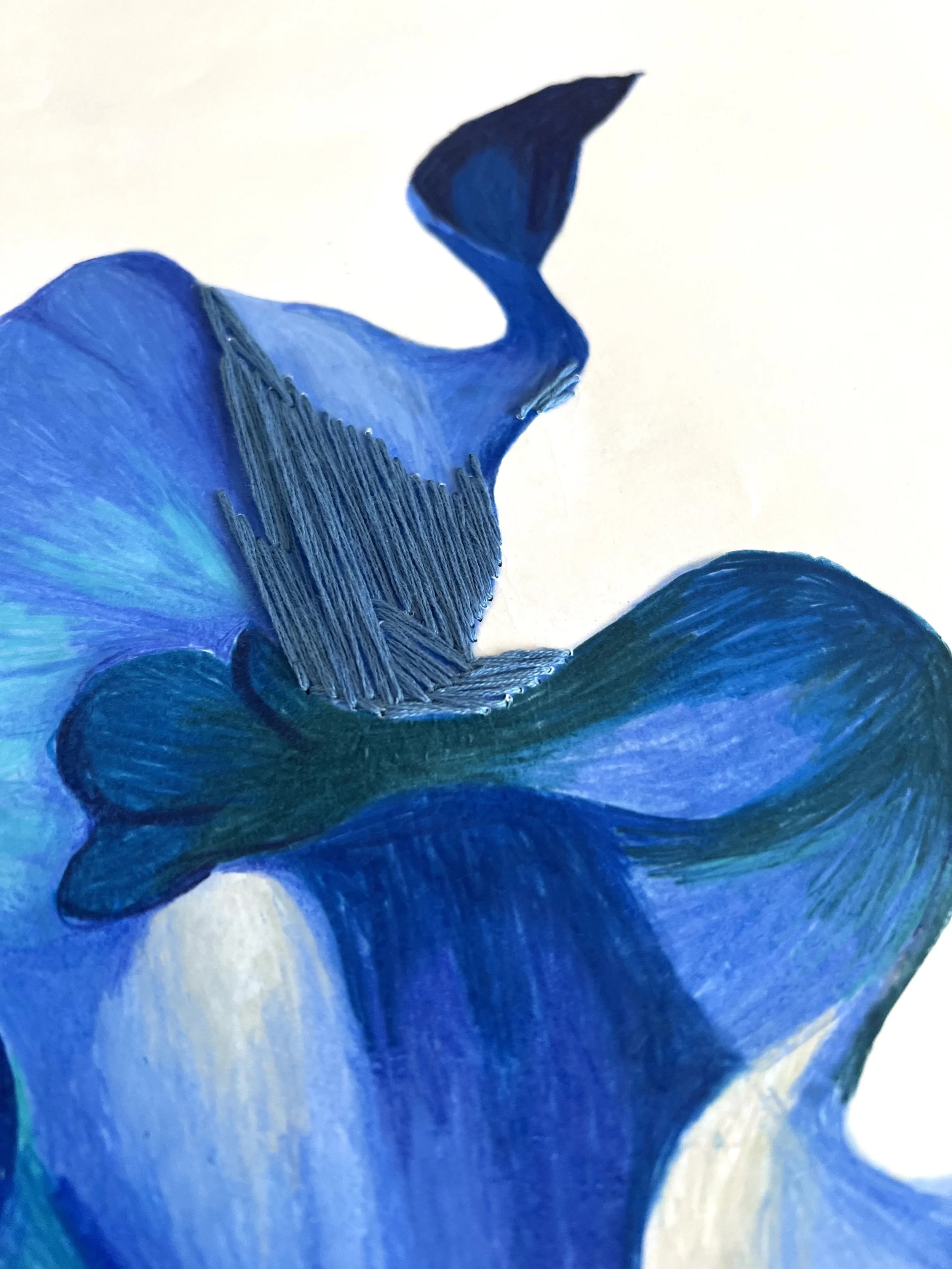Blue_Detail4.jpg