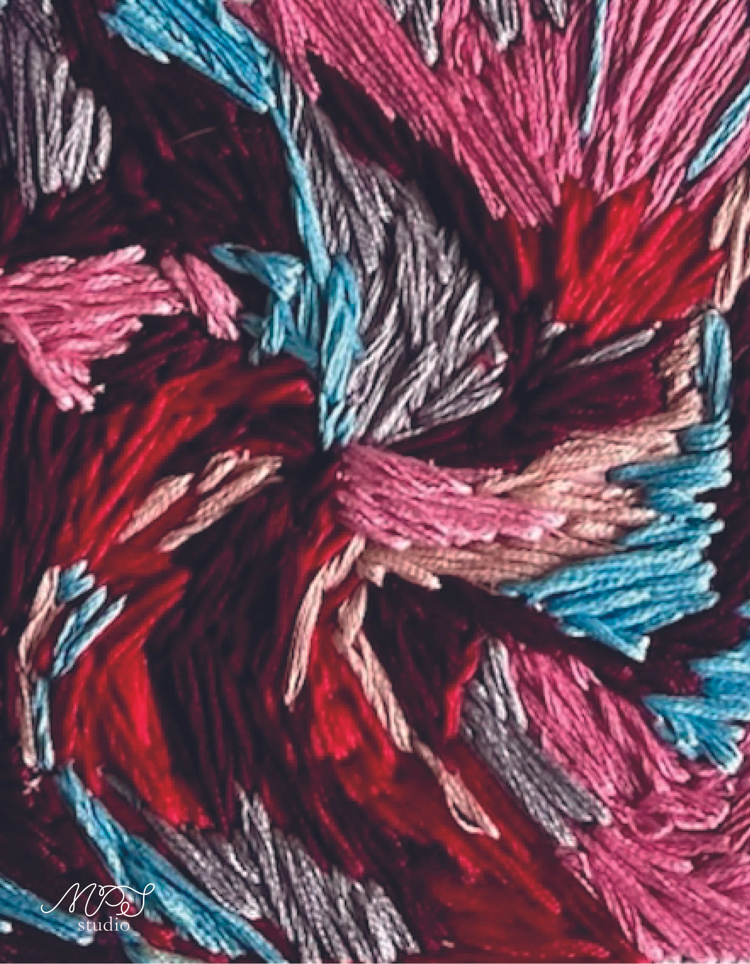 Salmon - Paola Suarez