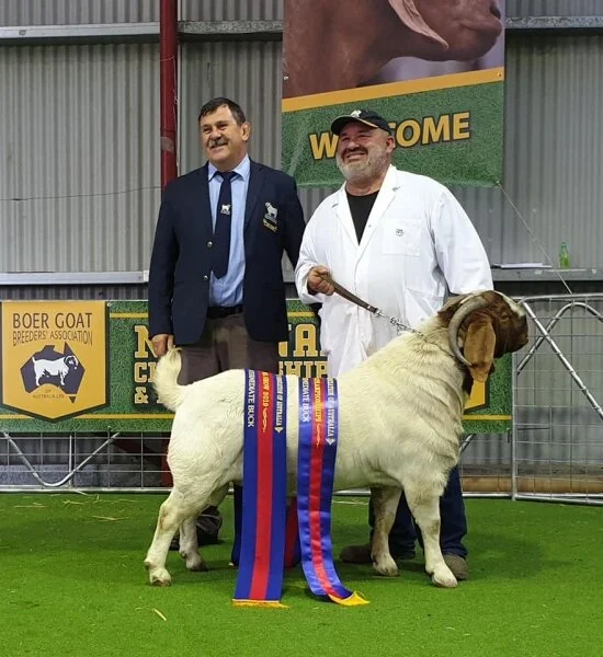 1560150830_int_champion_buck.jpg