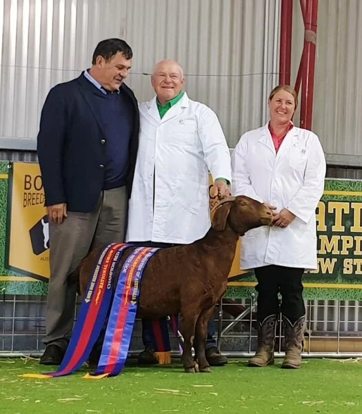 1560150892_senior_champ_red_doe.jpg
