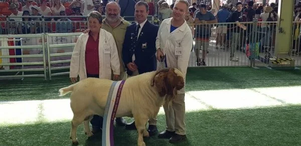 2019 Sydney Royal - Royal Agricultural Society NSW