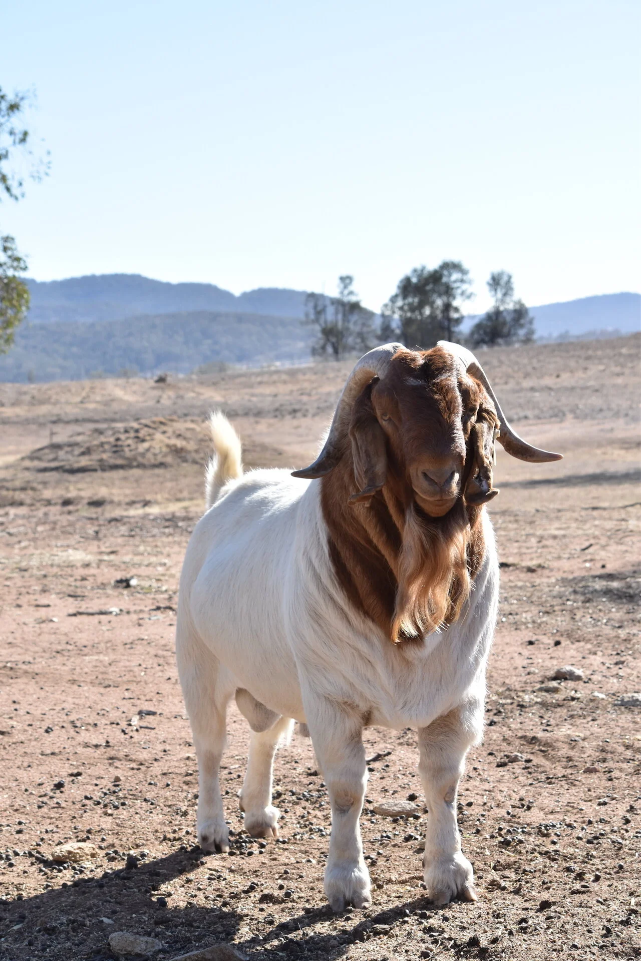 DSC_0256.JPG