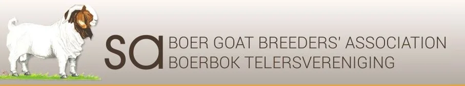 SA BGBAA.JPG
