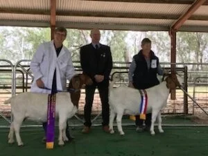 2018 Australasian Show -Cohuna ﻿Victoria