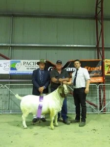 2018 NSW State Show - Borenore, NSW