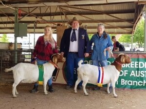 2017 Seymour Show - Vic