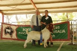 2017 Australasian Show - Cohuna, Vic.