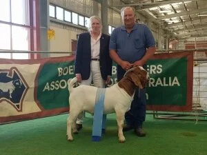 2017 Shepparton Show - Vic