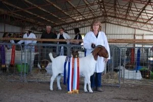 2017 Mount Pleasant Show - SA