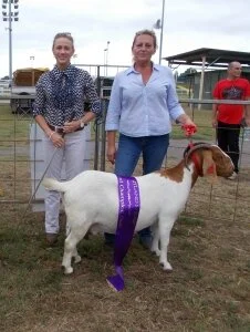 2017 Maitland Show -NSW