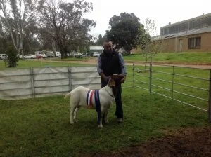 2016 Seymour Show - Vic
