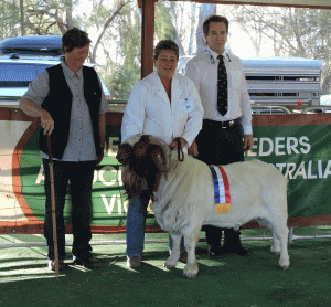 2016 Australasian Boer Goat show -Cohuna, Vic 