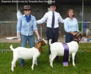 2016 Maitland Show - NSW 