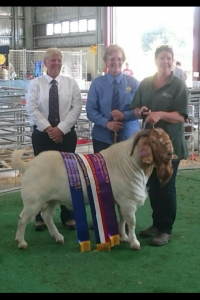 2015 Shepparton Show - Vic