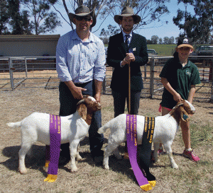 2015 Berrigan Show - NSW