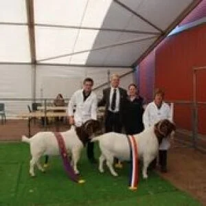 2015 Royal Adelaide Show - SA